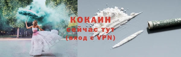 гидра Нея