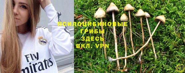 СК Нефтекумск